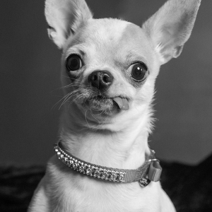 Fundraising Page: Owen Choat